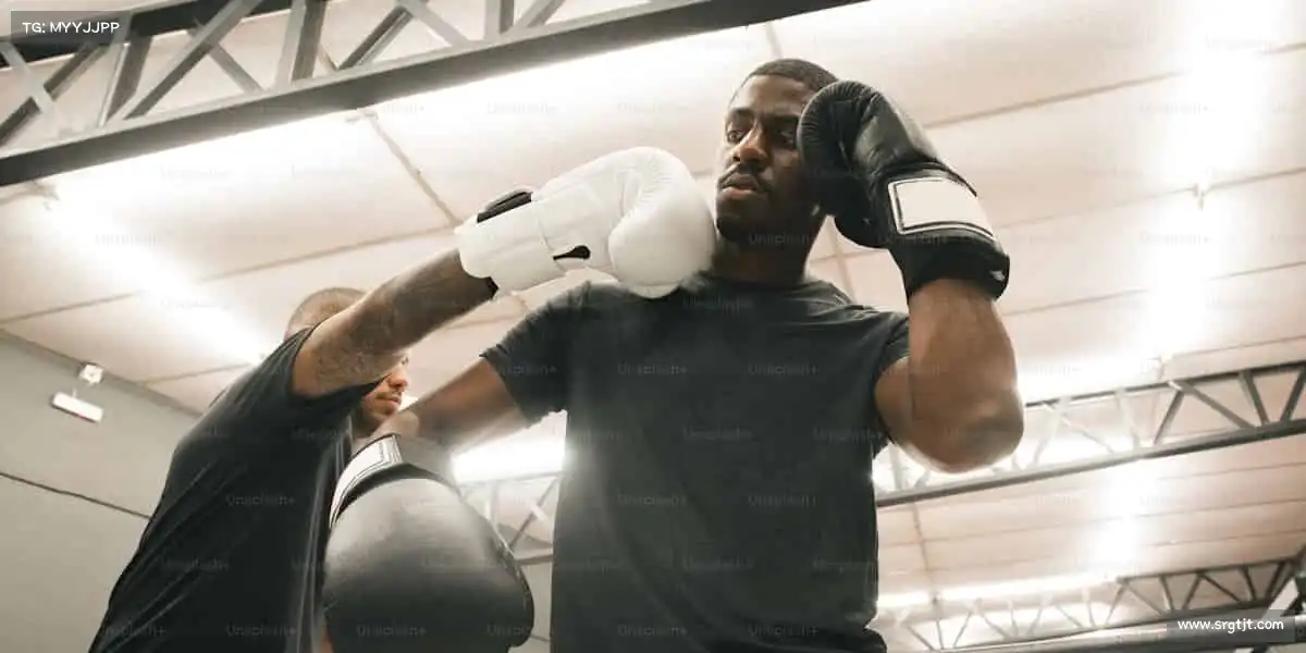 为什么选择我们